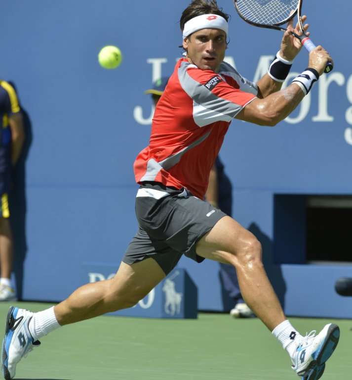 David Ferrer