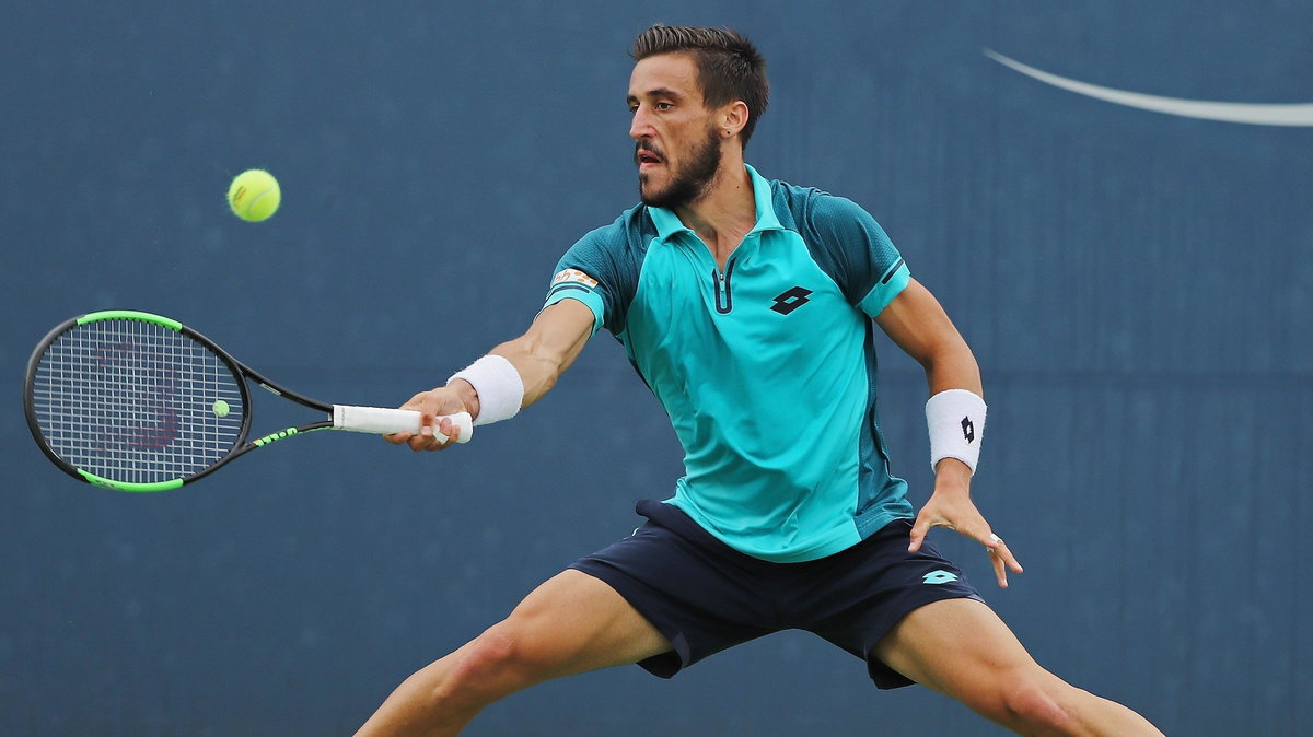 Damir Dzumhur