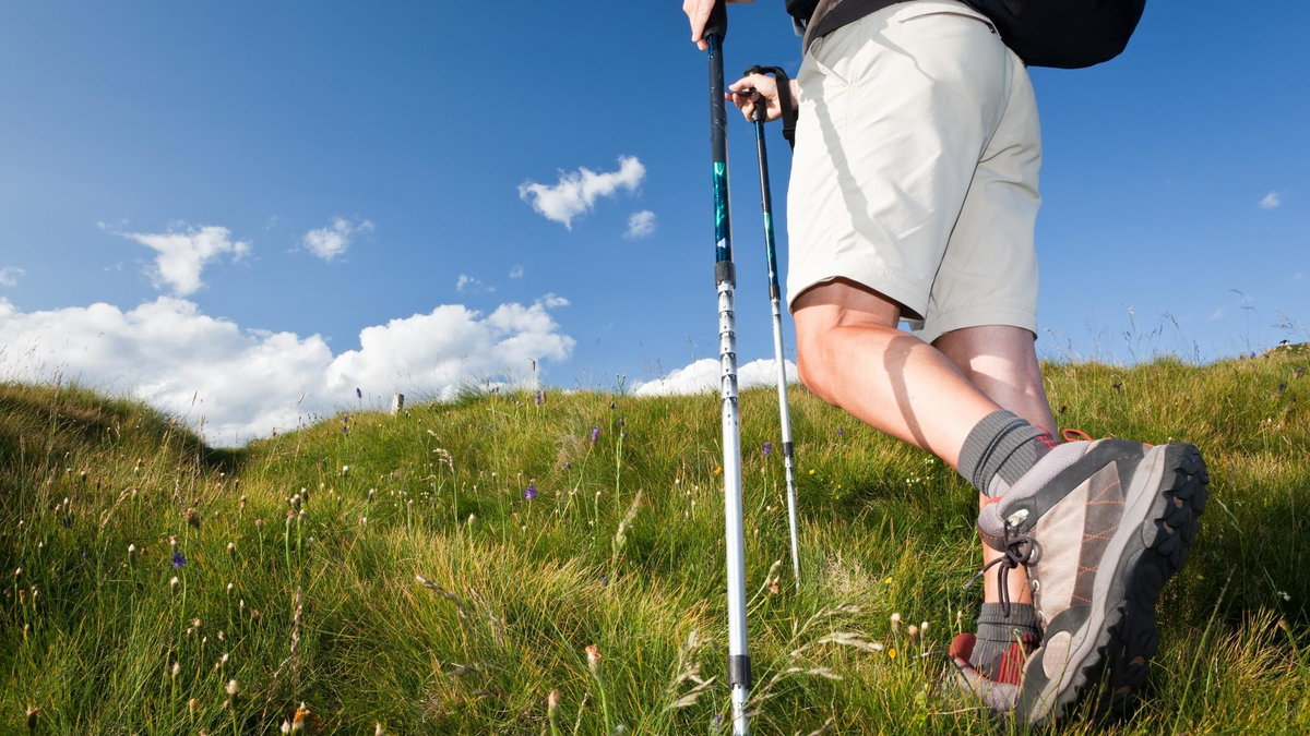 nordic walking