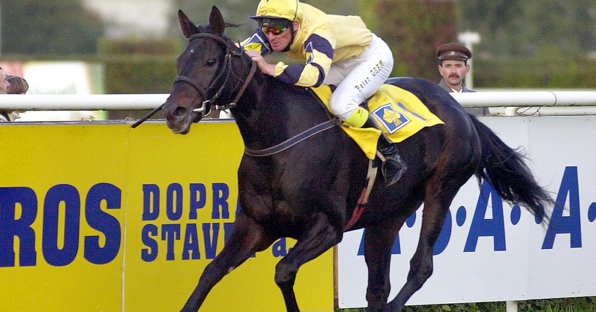 Wielka Pardubice.  Tyto soutěže sleduje každý pátý Čech