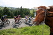 KOLARSTWO TOUR DE POLOGNE SZÓSTY ETAP