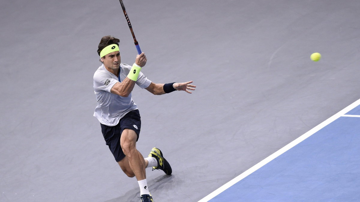 David Ferrer