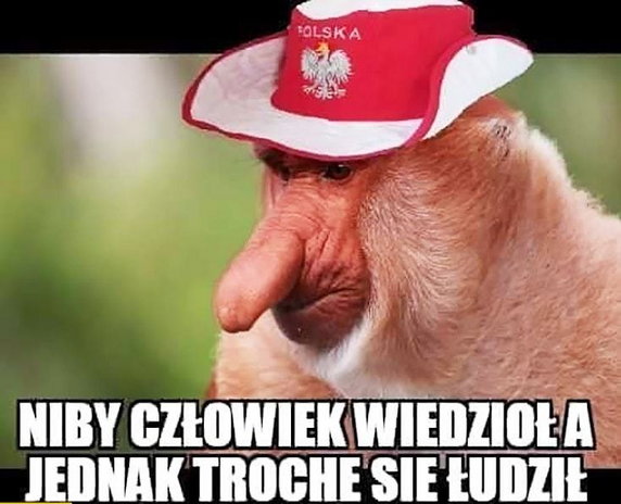 Memy po meczu Polska-Francja