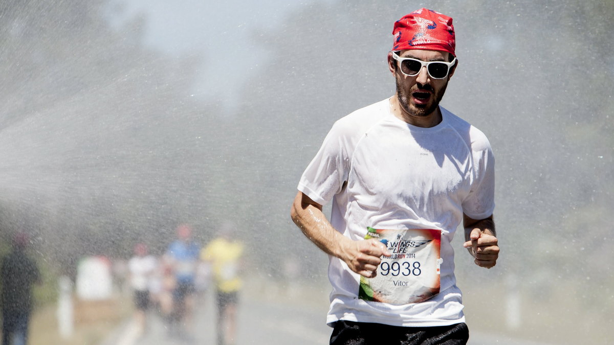 Wings for Life World Run