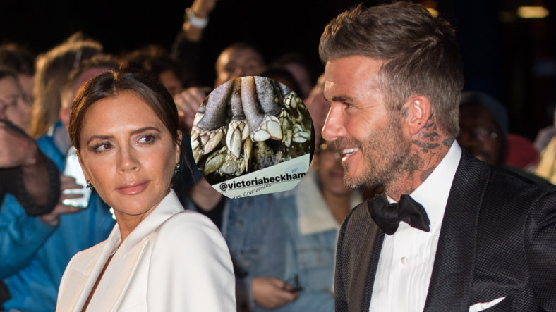 Victoria Beckham, David Beckham