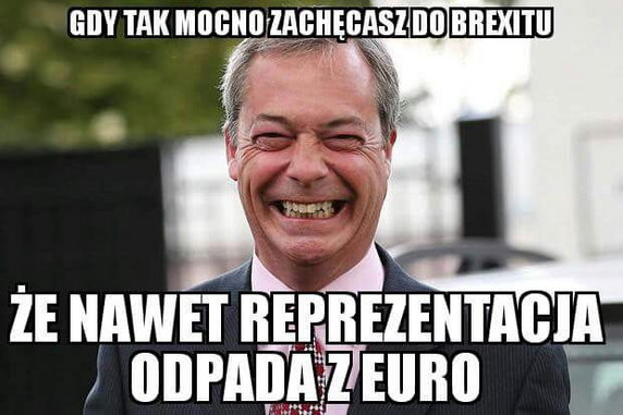 Najlepsze memy Euro 2016