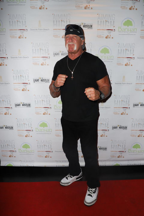 Hulk Hogan 2018 