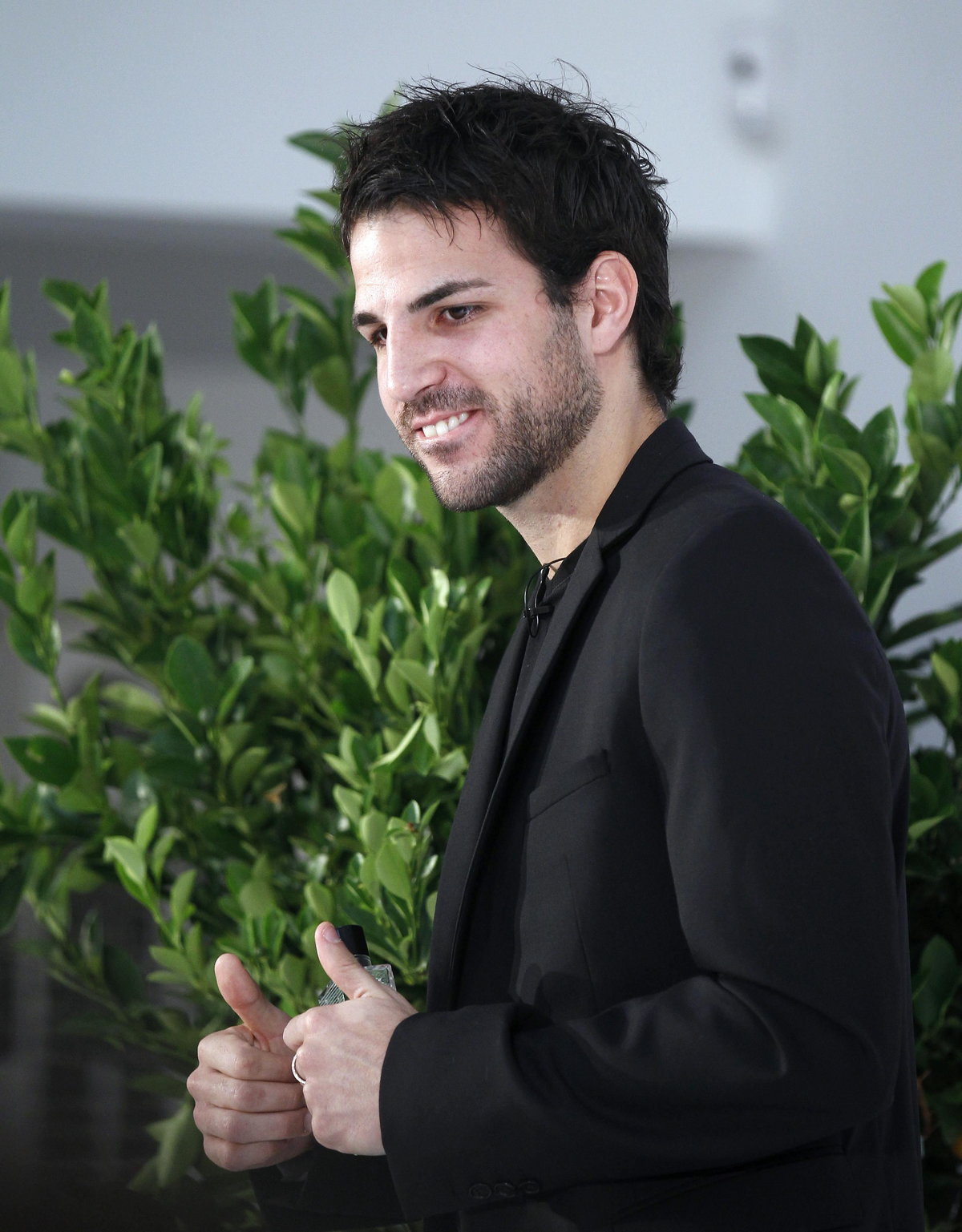 Cesc Fabregas