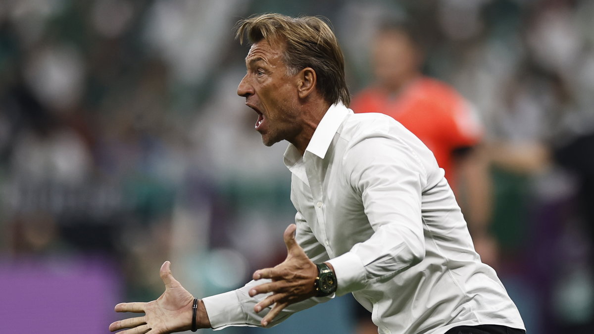 Herve Renard