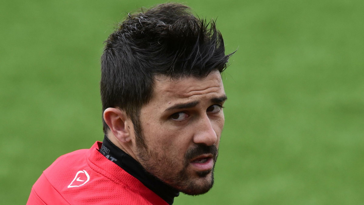 David Villa