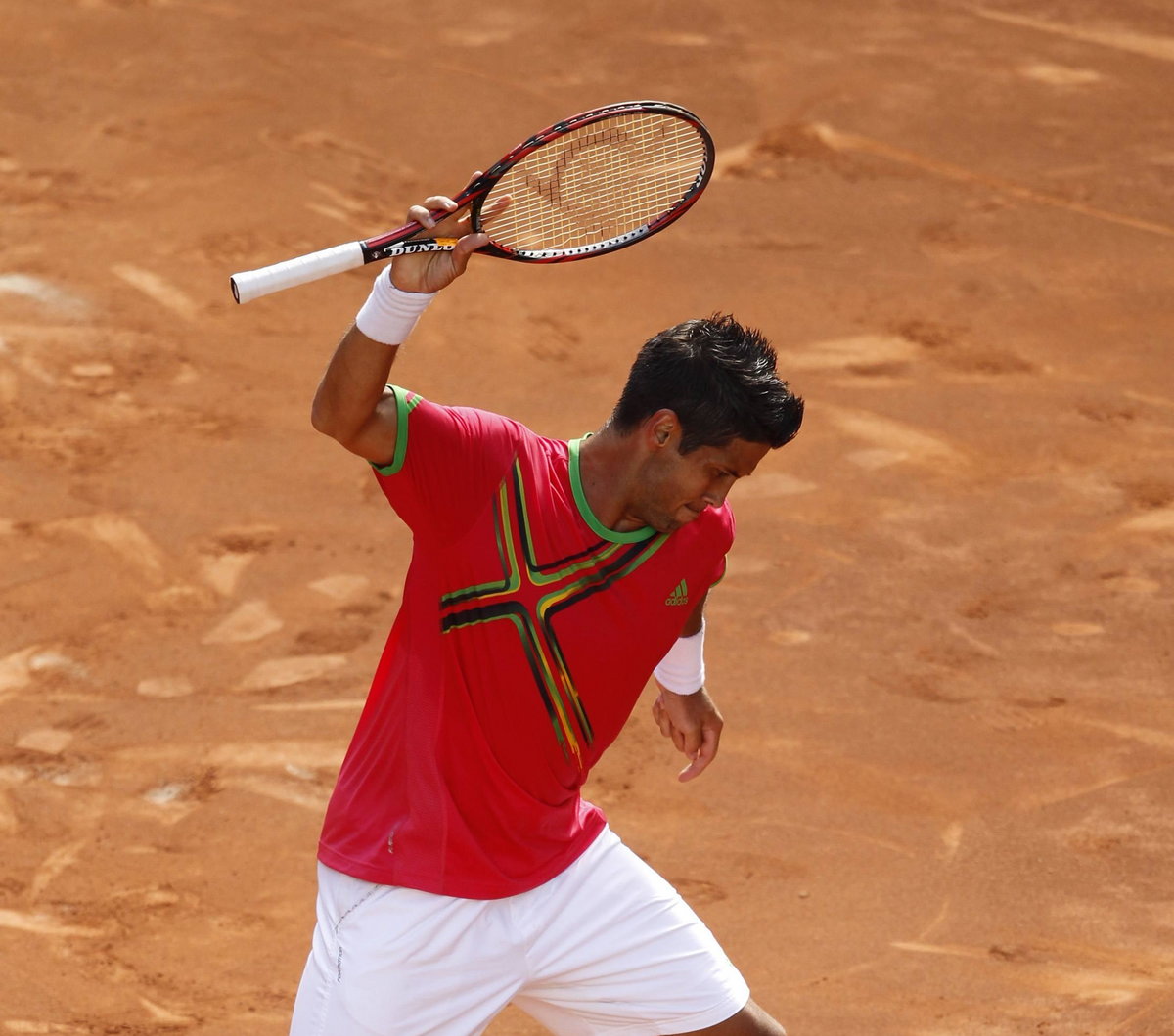 Fernando Verdasco