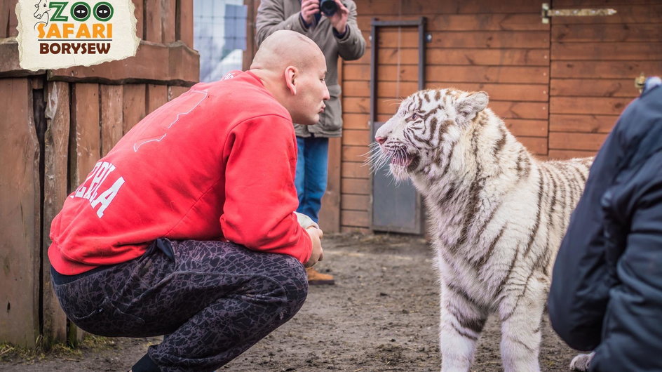 Artur Szpilka w zoo