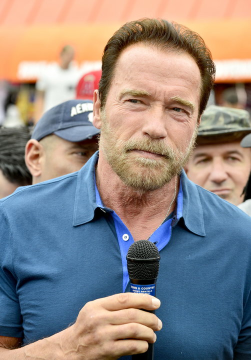 Arnold Schwarzenegger w 2013 roku