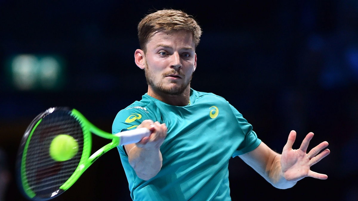 David Goffin