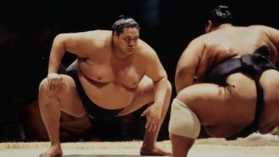 sumo