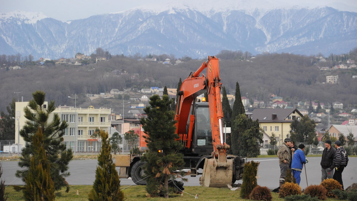 Robotnicy sadzą drzewa w centrum Soczi