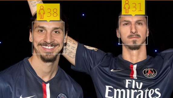 Zlatan Ibrahimovic