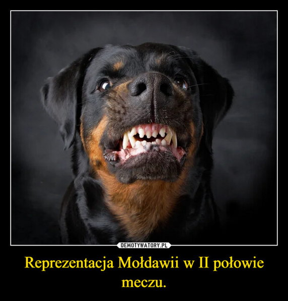 Memy po meczu Mołdawia — Polska