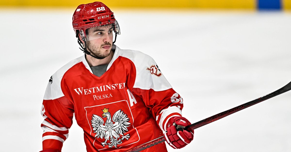 MŚ w hokeju: Polska - Japonia [RELACJA NA ŻYWO]