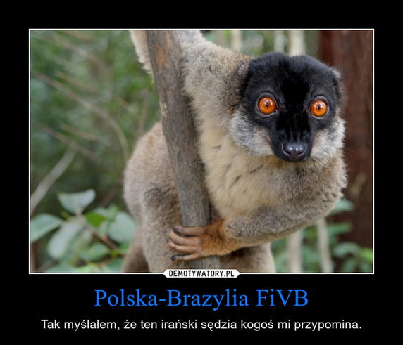 Polacy pokonali Brazylię w dreszczowcu - memy