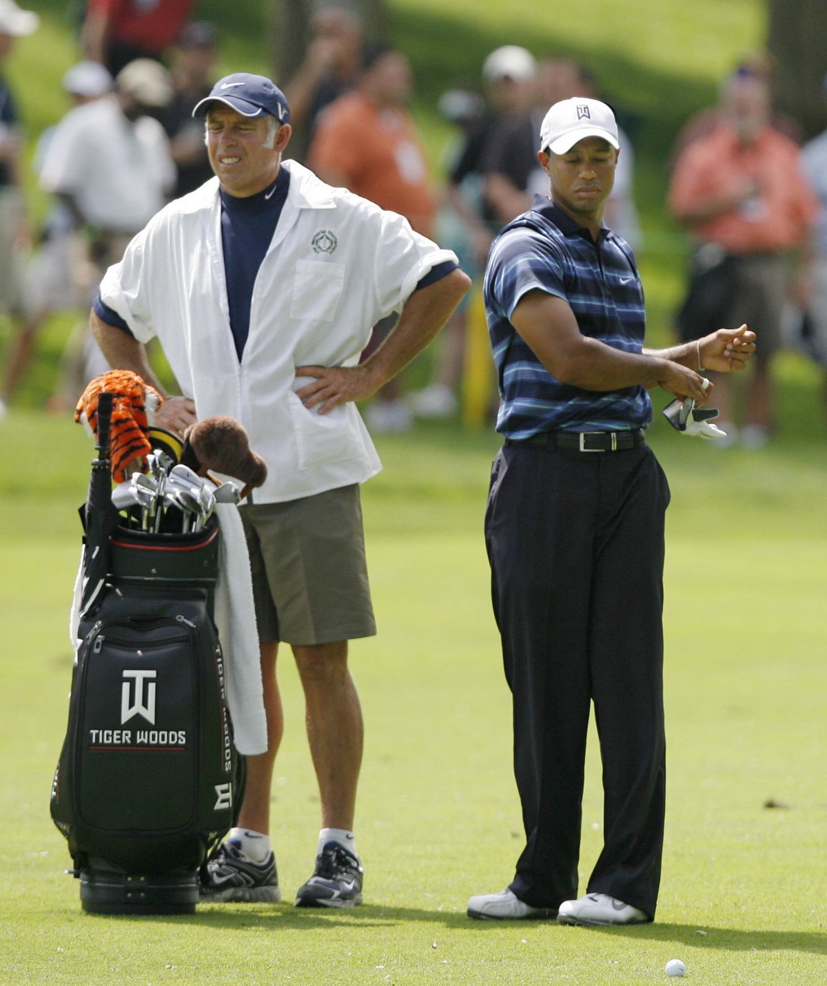 Steve Williams, Tiger Woods