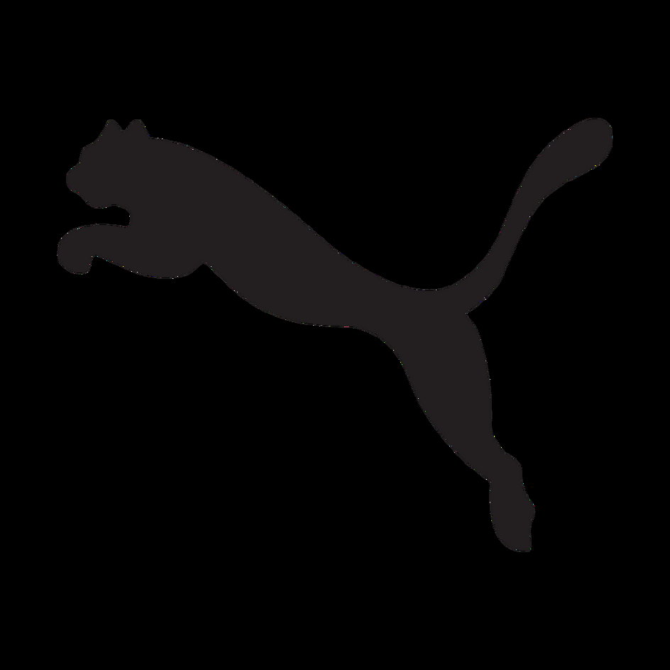 Logo PUMA (od 1988 r.)