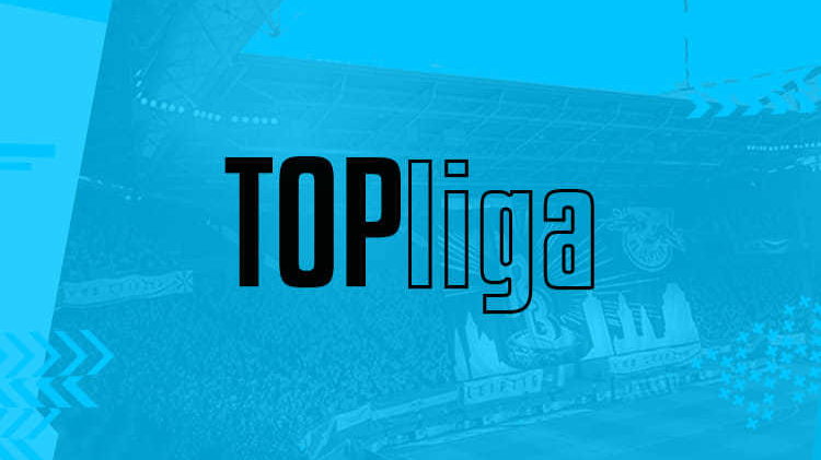 Topliga