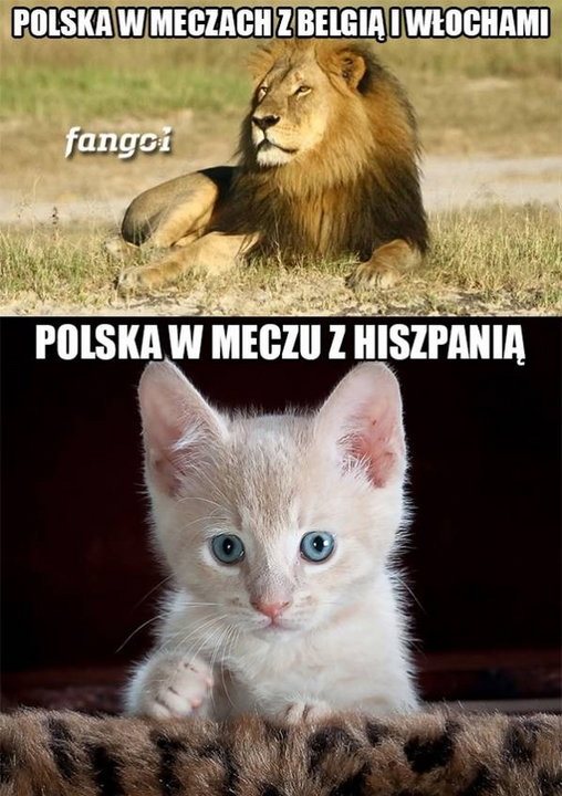 U-21: Polska przegrała z Hiszpanią. Memy po meczu