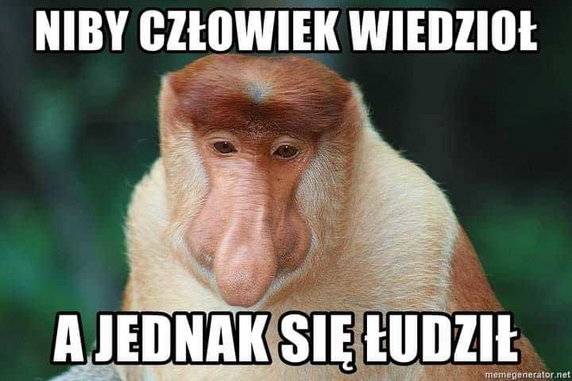 Węgry - Polska. Memy po meczu