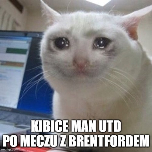 Memy po meczu Brentford — Manchester United