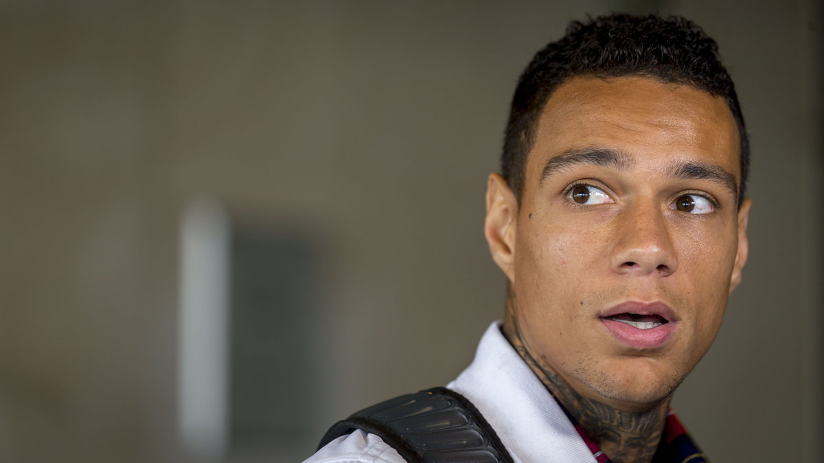 Gregory van der Wiel