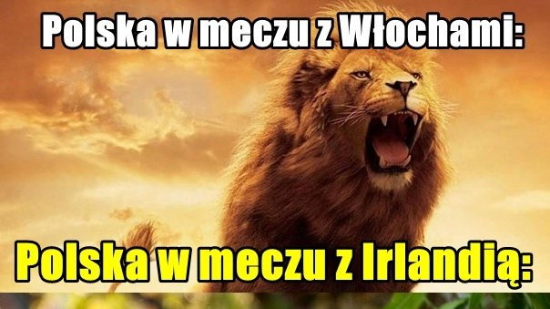 Memy po meczu Polska-Irlandia