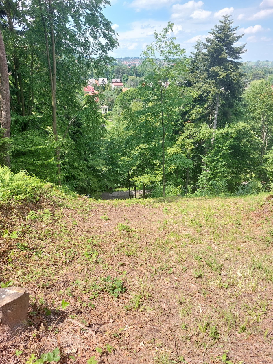 Tak wygląda skocznia narciarska w Myślenicach po odświeżeniu. Widok z okolic progu na zeskok i panoramę miasta