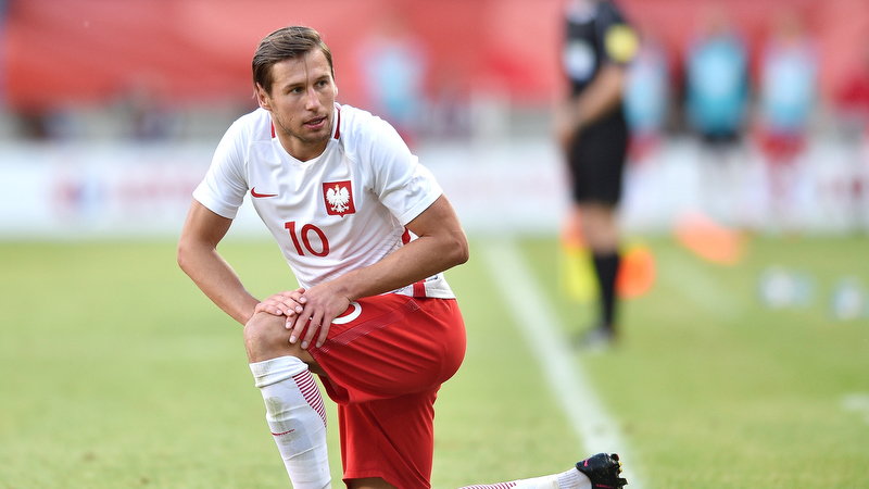 Grzegorz Krychowiak