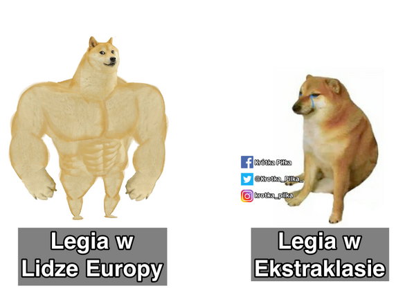 Lechia Gdańsk - Legia Warszawa: memy po meczu