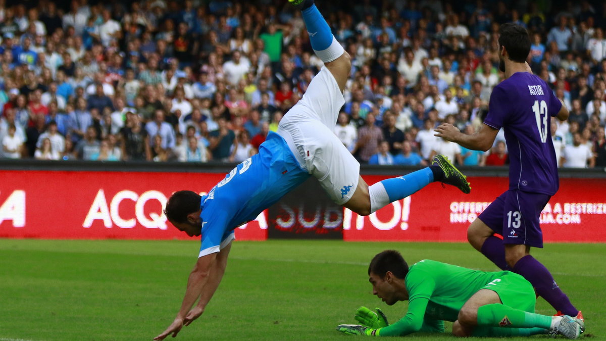 Gonzalo Higuain, Ciprian Tatarusanu, Napoli, Fiorentina