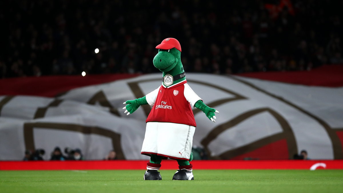 Arsenal po 27 latach zwolnił klubową maskotkę. Wszystko przez pandemię  koronawirusa - Przegląd Sportowy