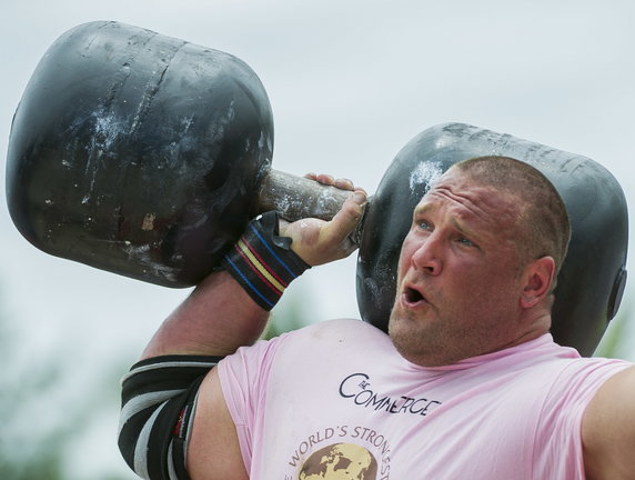 Terry Hollands