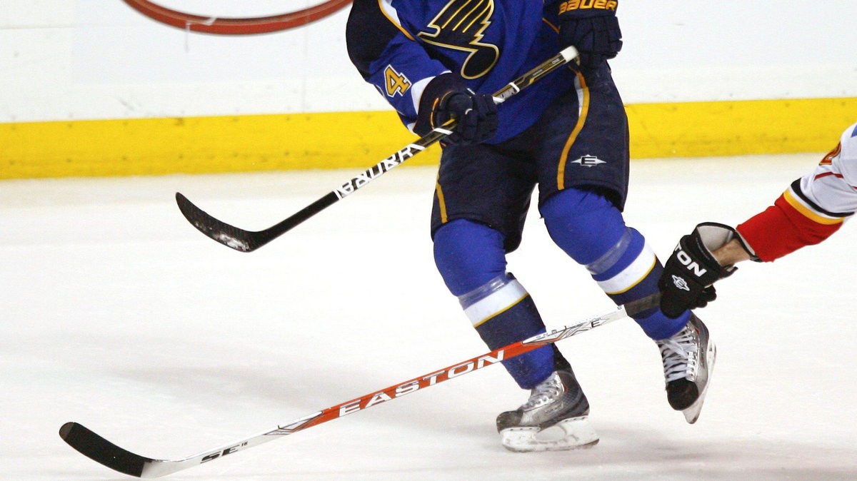 St. Louis Blues - Calgary Flames