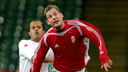 FBL-WALES-HUNGARY-GYEPES-EARNSHAW