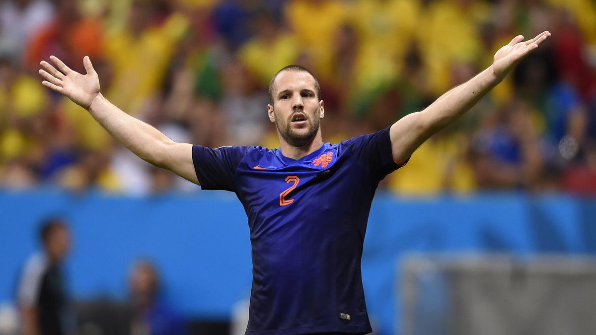 Ron Vlaar