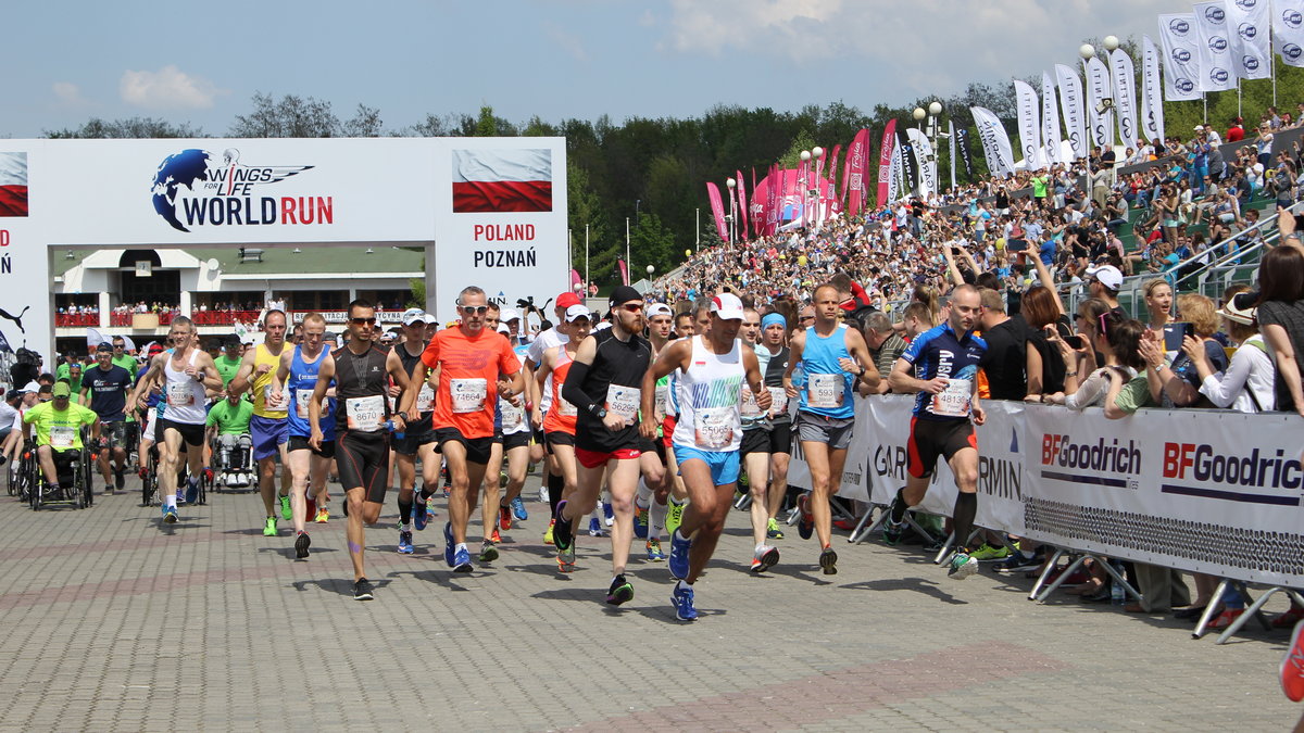 Wings for Life World Run w Poznaniu