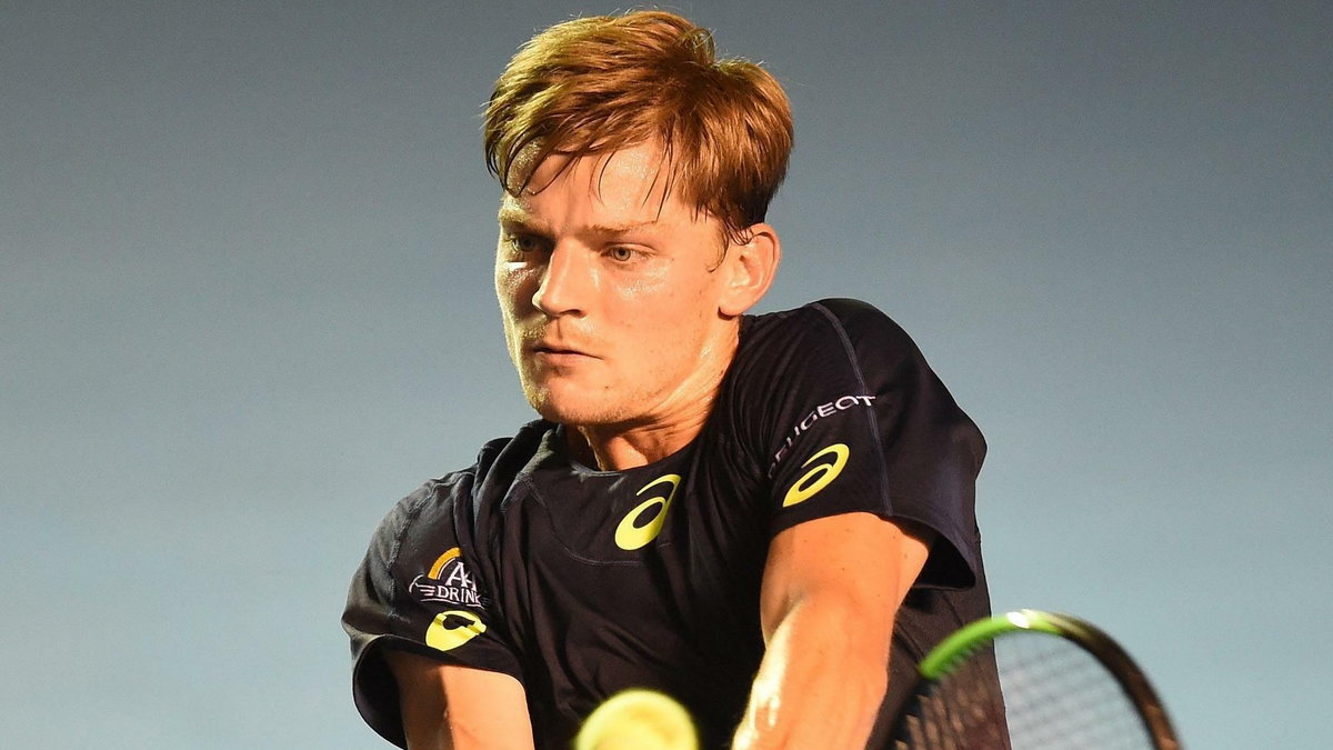 David Goffin