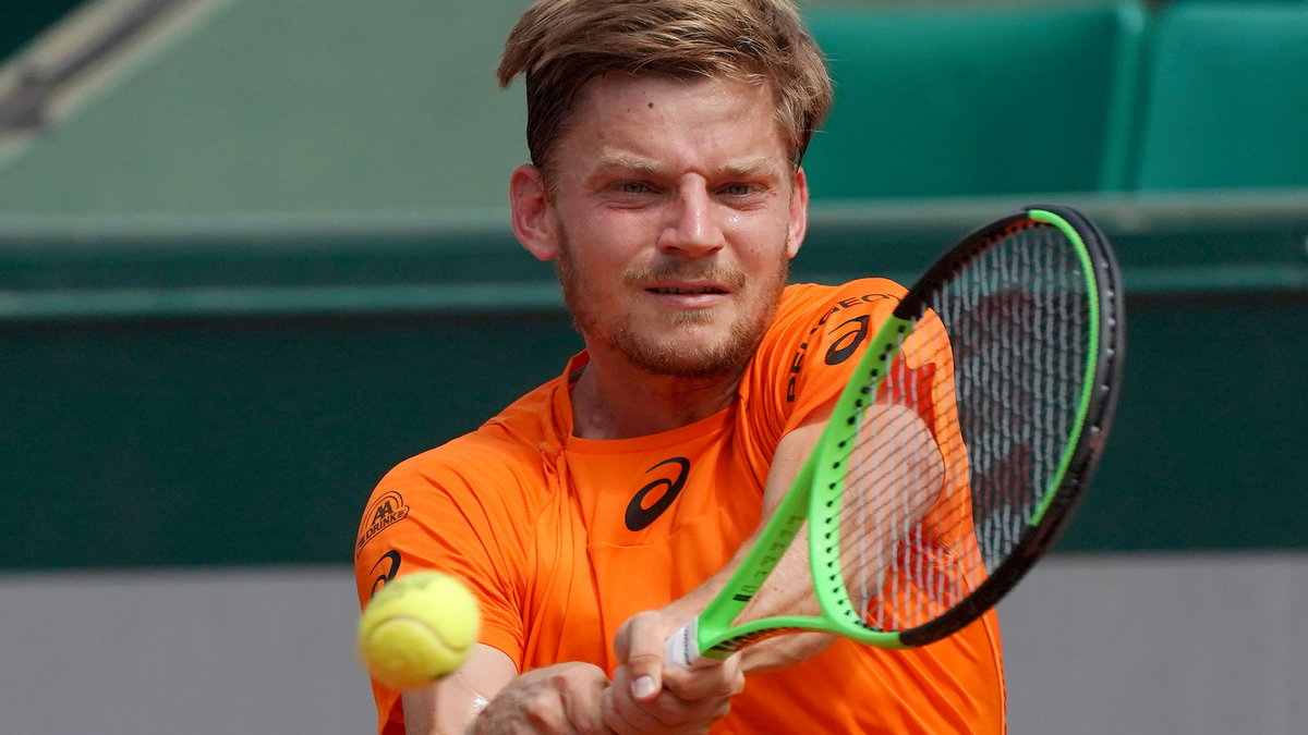 David Goffin