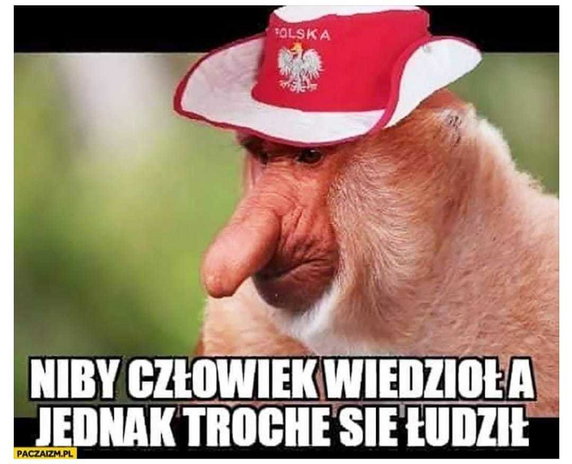 Memy po meczu Polska-Meksyk