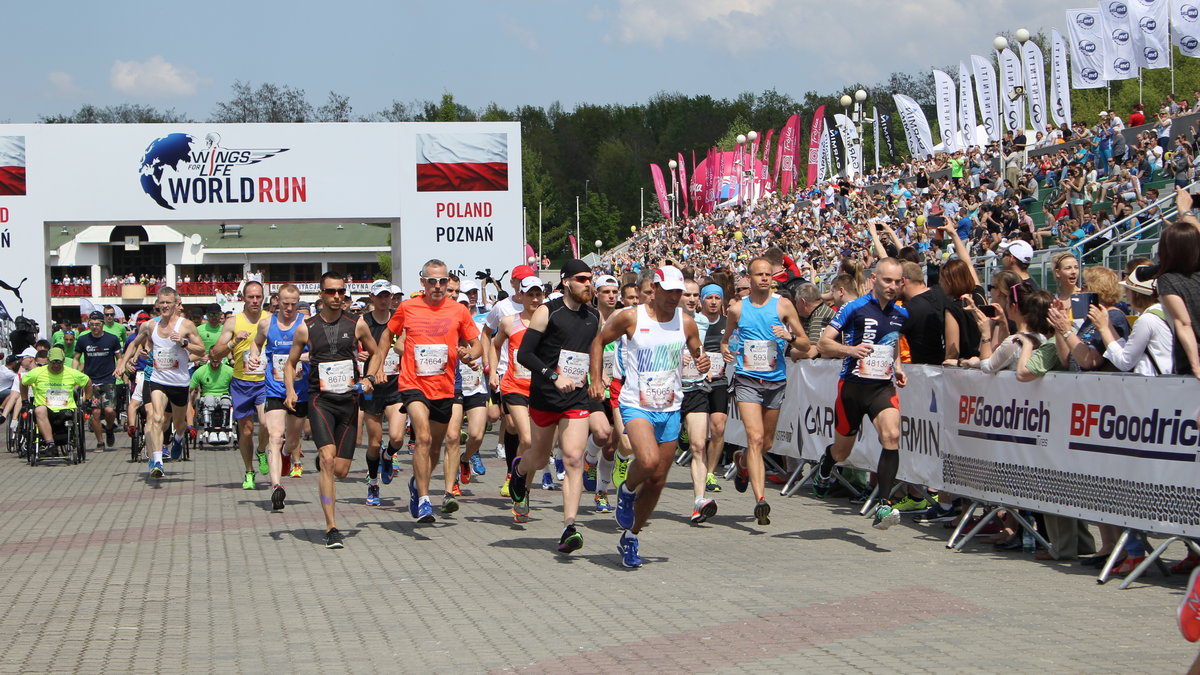 Wings for Life World Run w Poznaniu