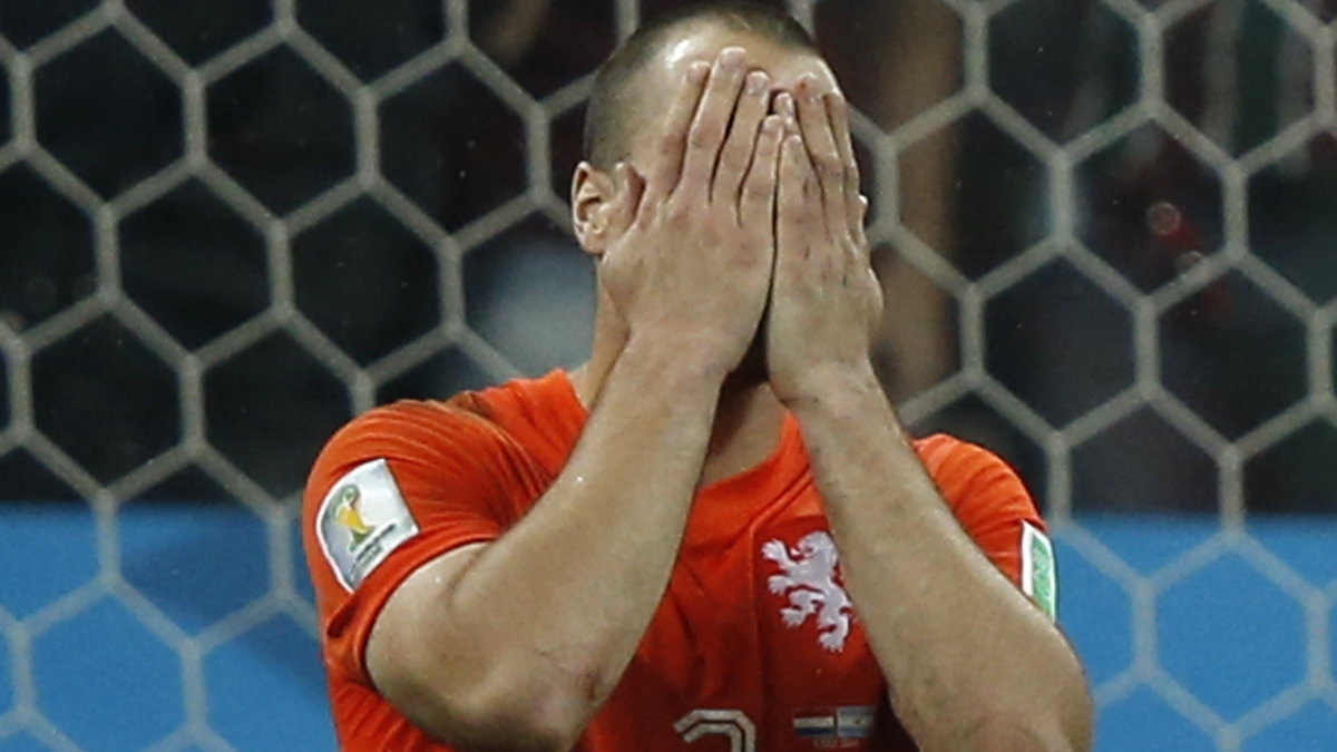 Ron Vlaar