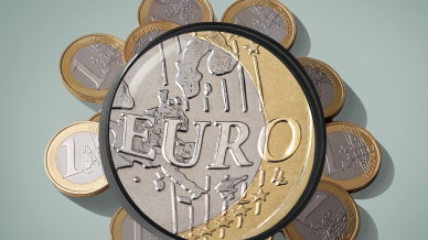 Euro