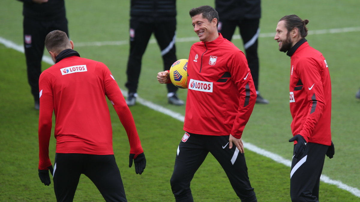 Robert Lewandowski, Grzegorz Krychowiak