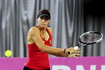 TENIS FED CUP POLSKA BELGIA